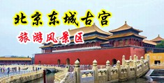 女生抠逼中国北京-东城古宫旅游风景区